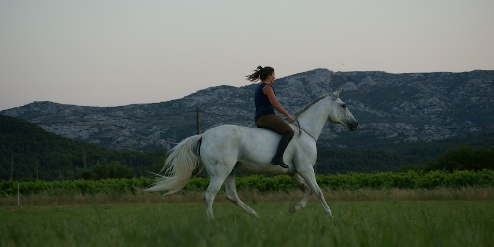 AB Racing Dream Équitation